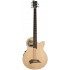 Warwick Alien Acoustic Bass 5 String