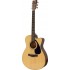 Yamaha FS100C