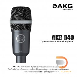 AKG D40 Professional Dynamic Instrument Microphone