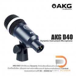 AKG D40 Professional Dynamic Instrument Microphone