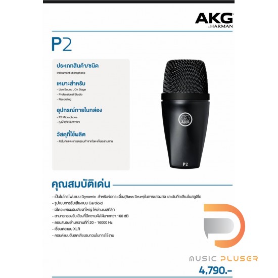 AKG P2 Dynamic Microphone