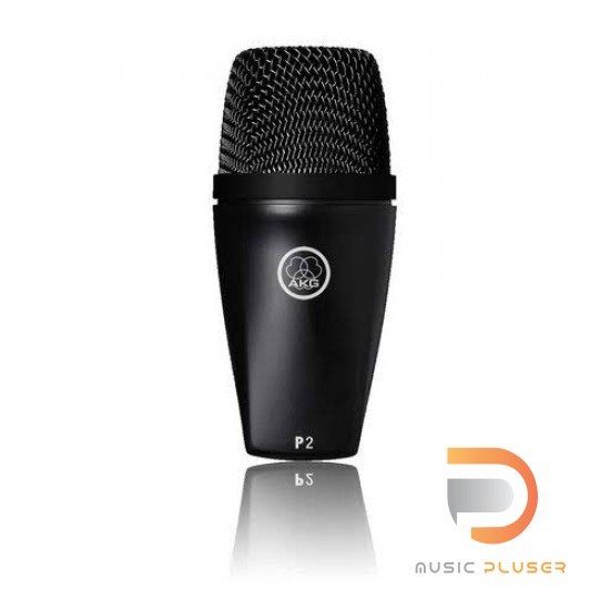 AKG P2 Dynamic Microphone