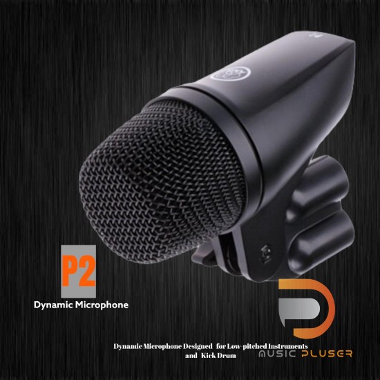 AKG P2 Dynamic Microphone