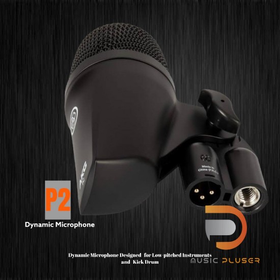 AKG P2 Dynamic Microphone