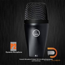 AKG P2 Dynamic Microphone