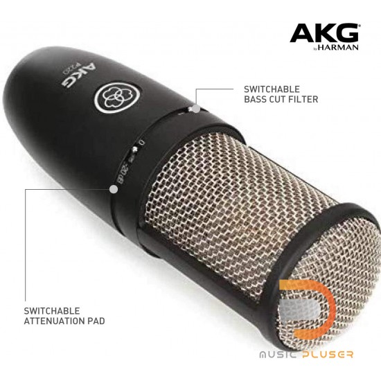 AKG P220 Large-diaphragm Condenser Microphone AKG P220 Large-diaphragm Condenser Microphone