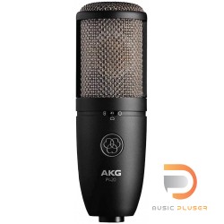 AKG Perception 420 Large Diaphragm Multi-Pattern Studio Microphone