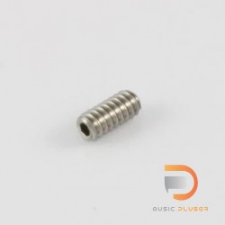 Allparts GS-0379 Stainless Steel Hex Saddle Screws (Pack of 12)