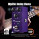 Ampeg Liquifier Analog Chorus