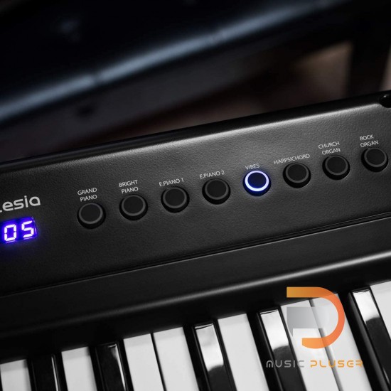 Artesia A-61 Digital Piano Artesia A-61 Digital Piano