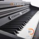 Artesia DP-3 Plus Artesia DP-3 Plus