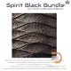Aston Spirit Black Bundle Aston Spirit Black Bundle