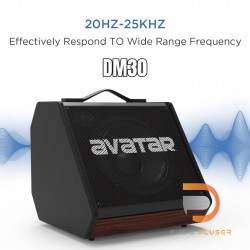 Avatar DM30 Personal Monitor Amplifier