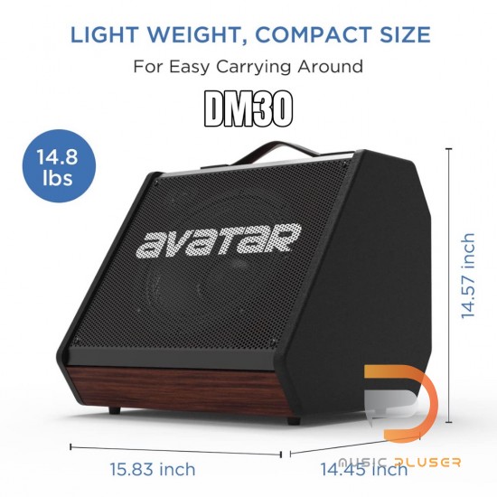 Avatar DM30 Personal Monitor Amplifier
