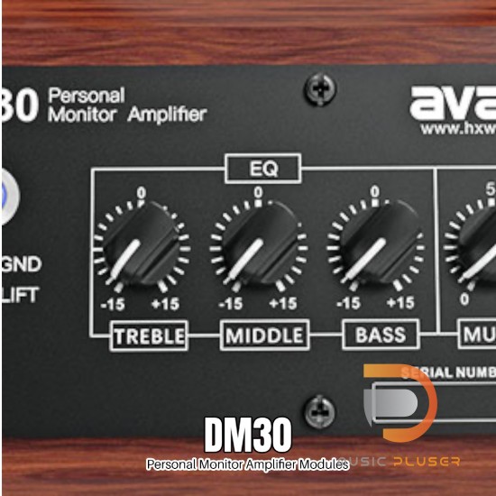 Avatar DM30 Personal Monitor Amplifier