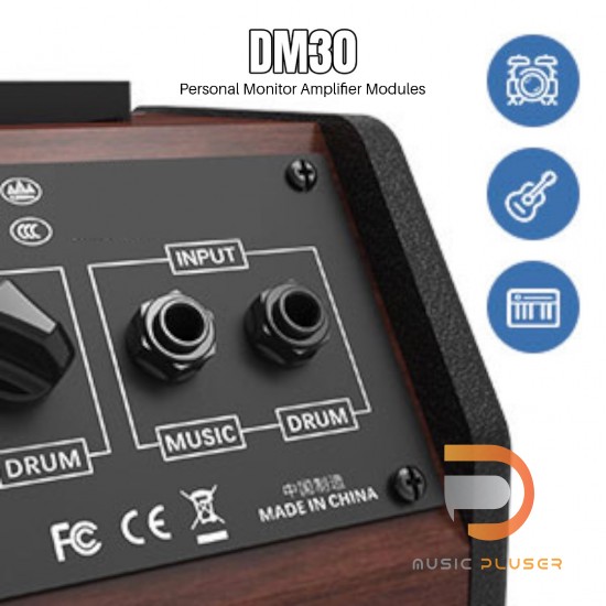 Avatar DM30 Personal Monitor Amplifier