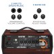 Avatar DM30 Personal Monitor Amplifier