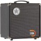 Blackstar Unity BASSU30 30W 1x8 Bass Combo Amplifier Blackstar Unity BASSU30 30W 1x8 Bass Combo Amplifier