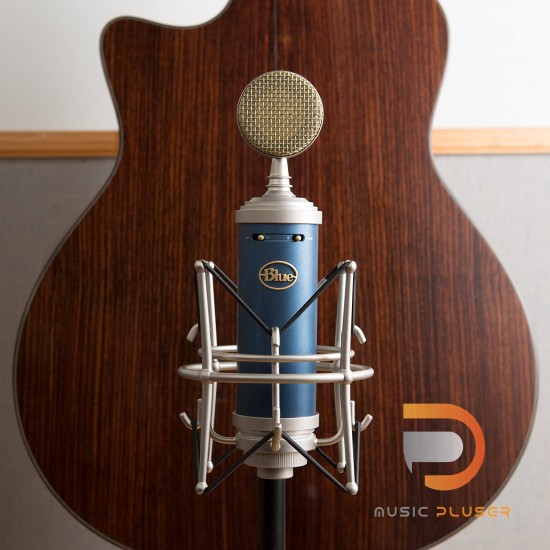 Blue Bluebird SL Blue Bluebird SL