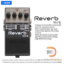 Boss RV-6 Reverb