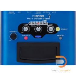 เอฟเฟคร้อง Boss VE-1 Vocal Echo