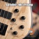 Cort B5 Element Cort B5 Element