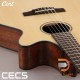 Cort CEC5 Acoustic Guitar Cort CEC5 Acoustic Guitar