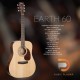 Cort Earth 60