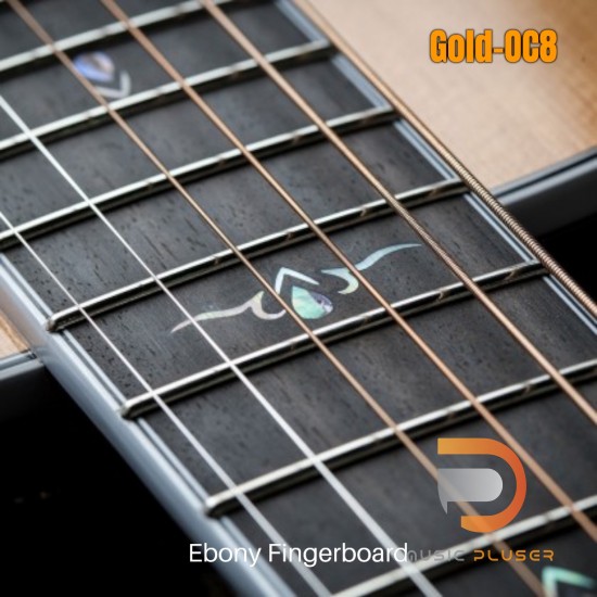 Cort Gold OC-8 Acoustic Guitar Cort Gold OC-8 Acoustic Guitar