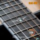 Cort Gold OC-8 Acoustic Guitar Cort Gold OC-8 Acoustic Guitar