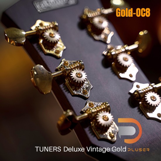 Cort Gold OC-8 Acoustic Guitar Cort Gold OC-8 Acoustic Guitar