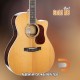 Cort Gold-A8 Cort Gold-A8