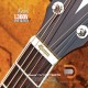Cort L300V Cort L300V