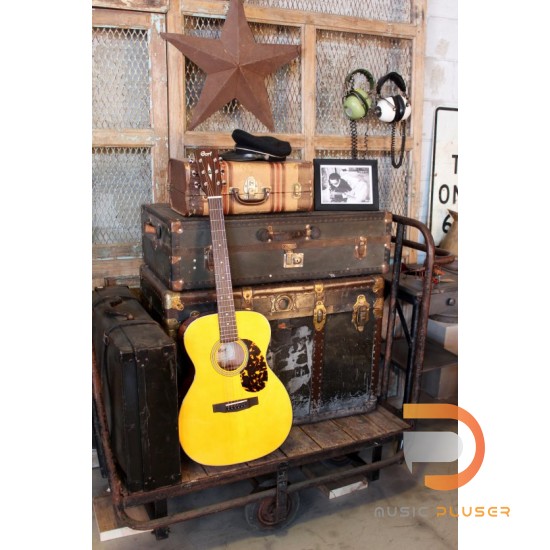 Cort L300V Cort L300V