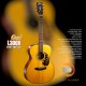Cort L300V Cort L300V