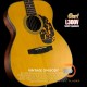 Cort L300V Cort L300V