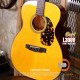 Cort L300V Cort L300V