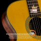 Cort L300V Cort L300V