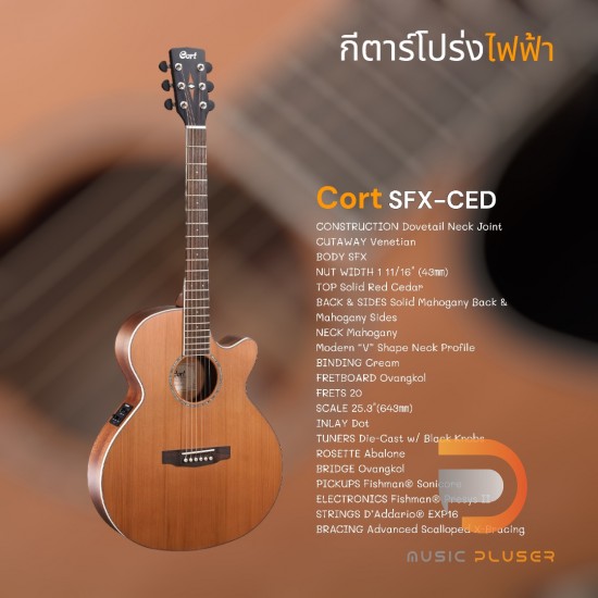 Cort SFX-CED Acoustic Guitar