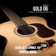 Cort gold series O6 ทรง Om All solid