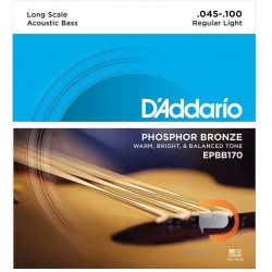 D’Addario EPBB170 Phosphor Bronze Acoustic 4 String Bass 045 065 080 100
