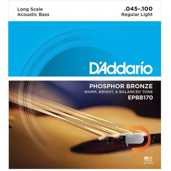 D’Addario EPBB170 Phosphor Bronze Acoustic 4 String Bass 045 065 080 100