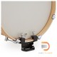 Ddrum SE Flyer With Ash Outer Ply - Shell Pack