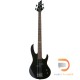 ESP LTD B-10