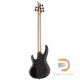 ESP LTD B-205SM