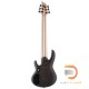 ESP LTD B-206SM ESP LTD B-206SM