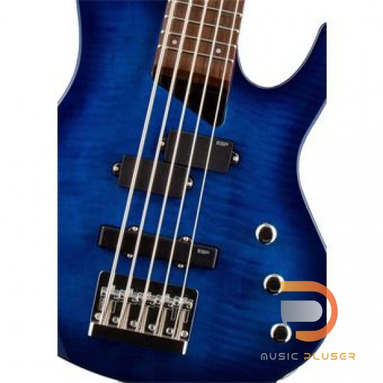 ESP LTD B-55FM ESP LTD B-55FM