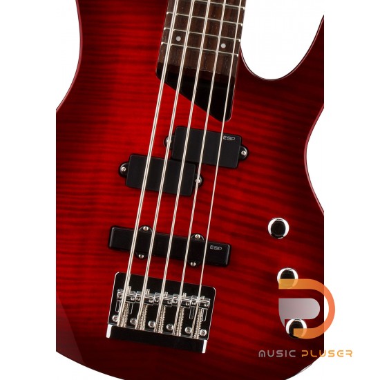 ESP LTD B-55FM ESP LTD B-55FM