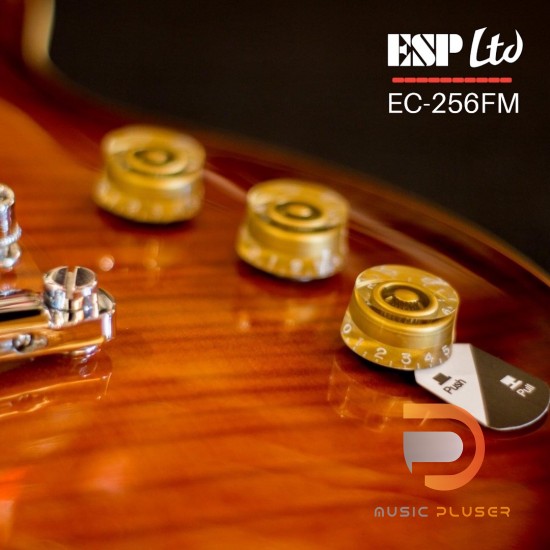 ESP LTD EC-256FM DARK BROWN SUNBURST ESP LTD EC-256FM DARK BROWN SUNBURST