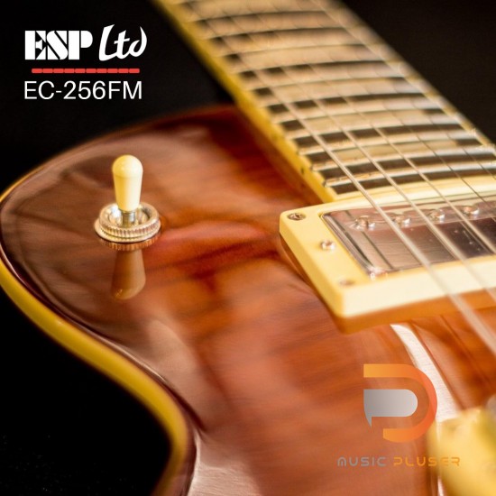 ESP LTD EC-256FM DARK BROWN SUNBURST